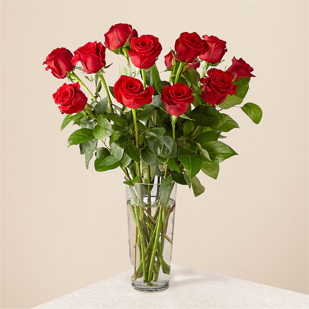 Long Stem Red Rose Bouquet – CHURCHLAND'S VILLAGE FLOWER SHOP INC, Portsmouth VA