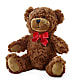 Adorable Plush Bear – CHURCHLAND'S VILLAGE FLOWER SHOP INC, Portsmouth VA