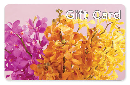 Gift Card – CHURCHLAND'S VILLAGE FLOWER SHOP INC, Portsmouth VA