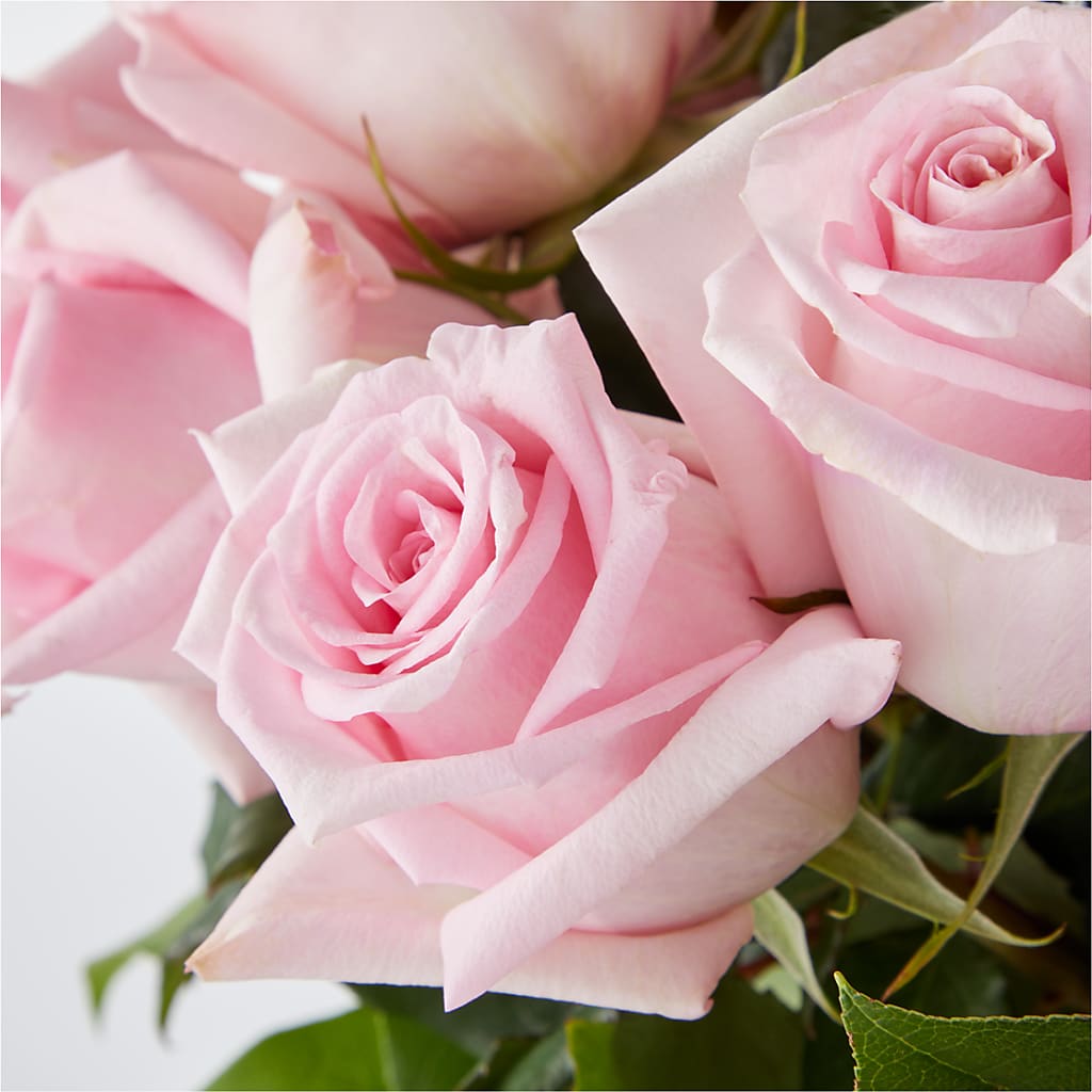 Picture Perfect Pink Rose Bouquet – CHURCHLAND'S VILLAGE FLOWER SHOP INC, Portsmouth VA