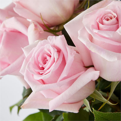 Picture Perfect Pink Rose Bouquet – CHURCHLAND'S VILLAGE FLOWER SHOP INC, Portsmouth VA